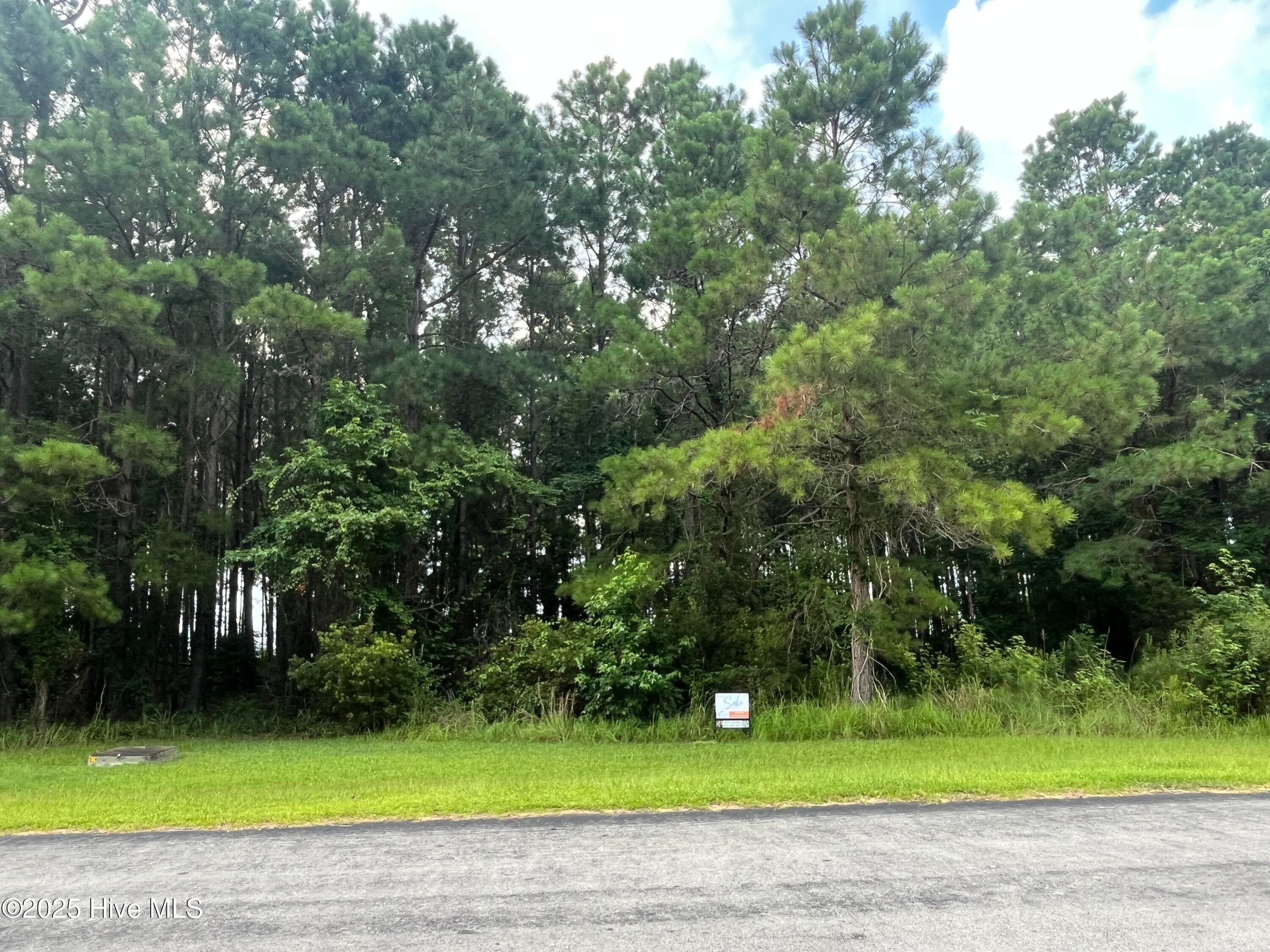 Residential Lot at 309 Garbacon Drive, Beaufort, NC 28516, photo 7 of 8