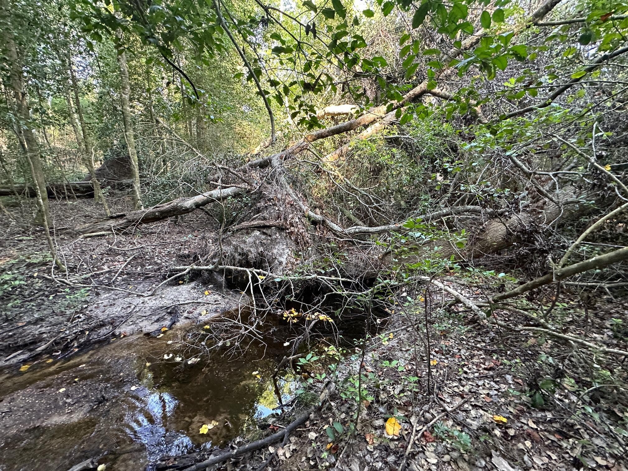 Undeveloped at 2576 Jessie James Pond Road, Wrens, GA 30833, photo 26 of 56