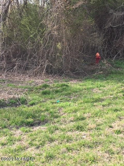 Undeveloped at Tbd Us 17 Highway, Maysville, NC 28555, photo 2 of 4