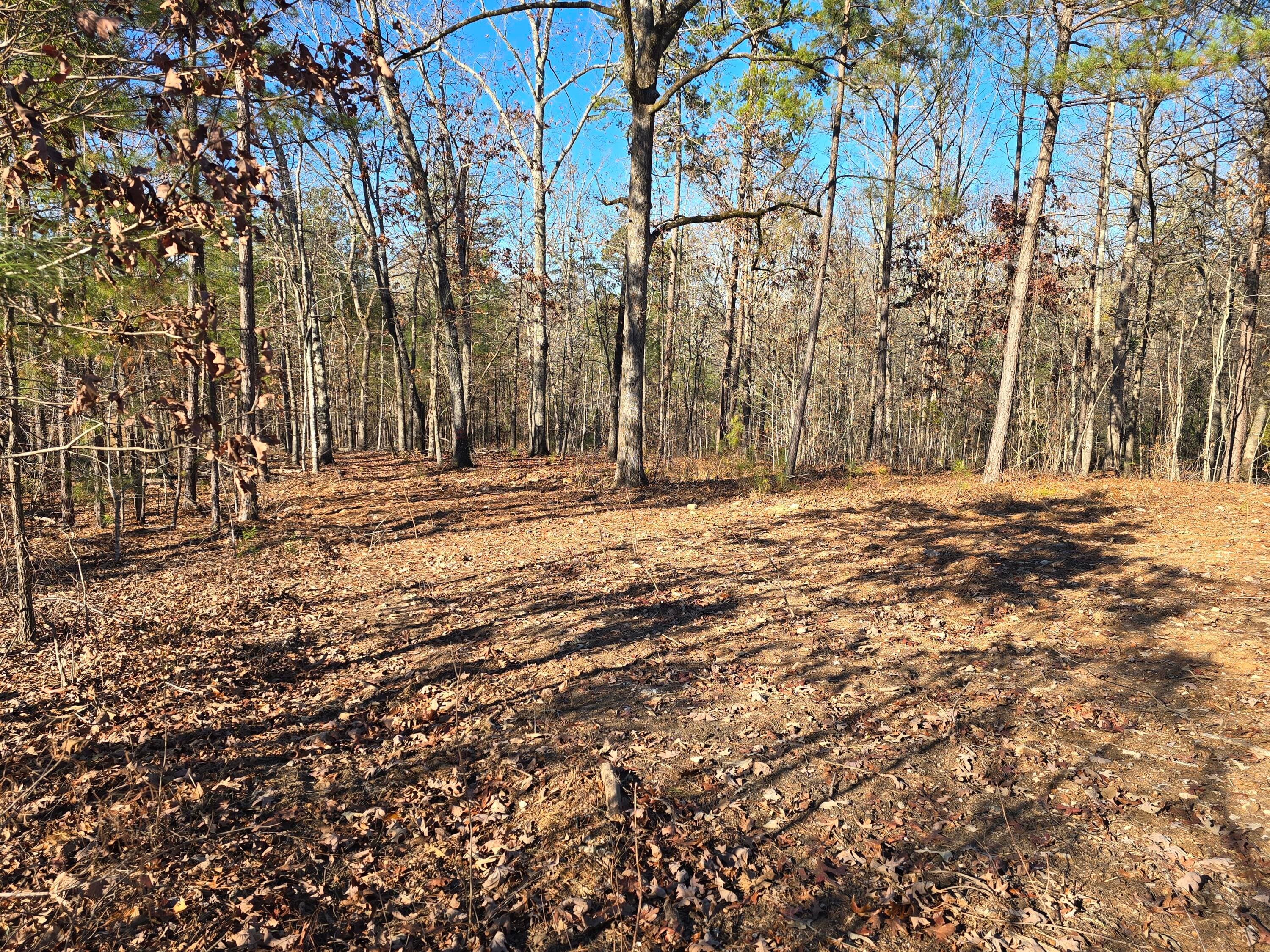 Residential Lot at 1102 Dogwood Drive, Lincolnton, GA 30817, photo 13 of 46