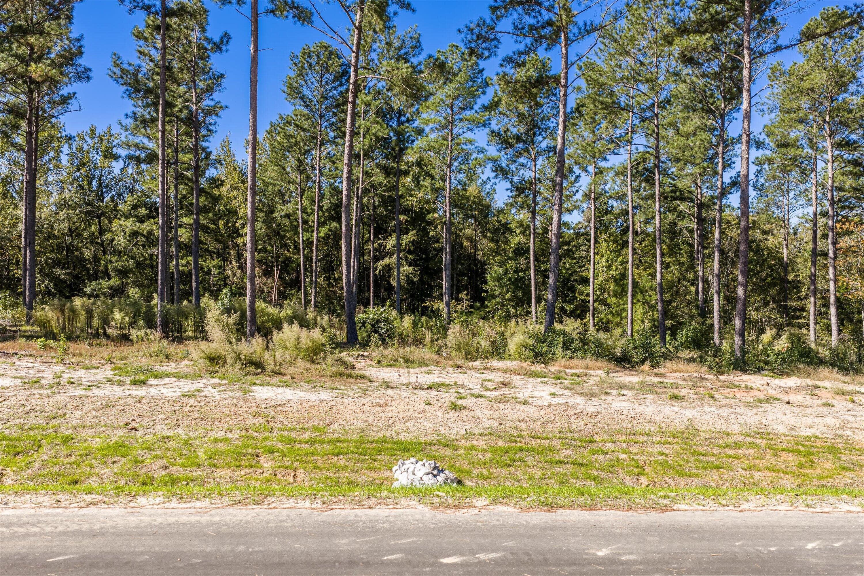 Residential Lot at 150 Beagle Chase Drive, Appling, GA 30802, photo 5 of 6