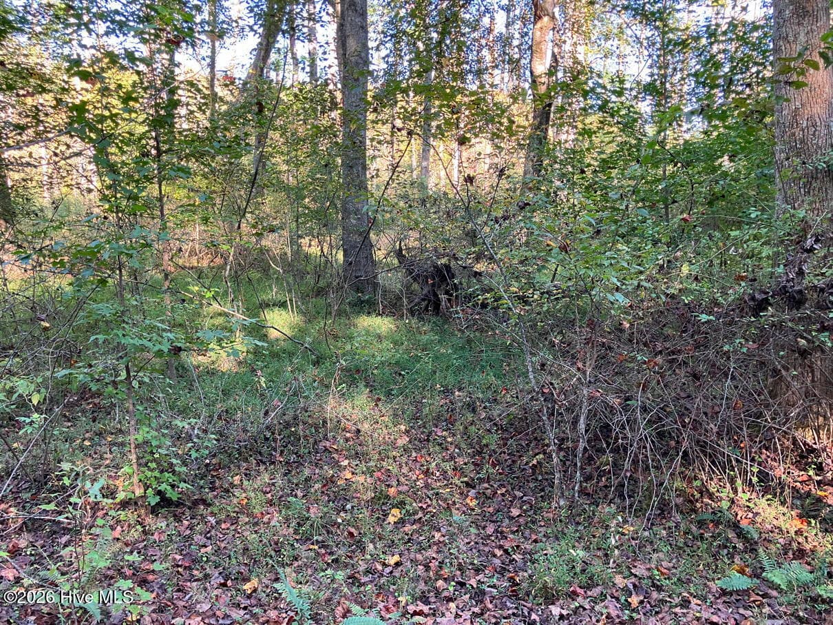 Residential Lot at 6 6 Rushing Water Trail, Hayesville, NC 28904, Hayesville, photo 9 of 14