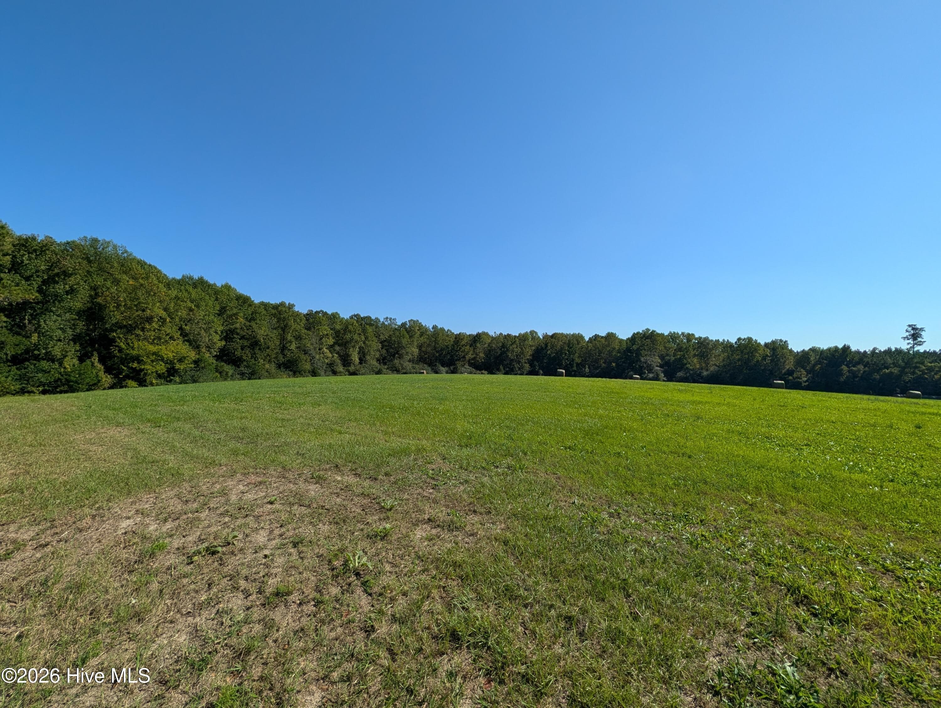 Undeveloped at Tbd County Line Road, Ellerbe, NC 28338, photo 4 of 7