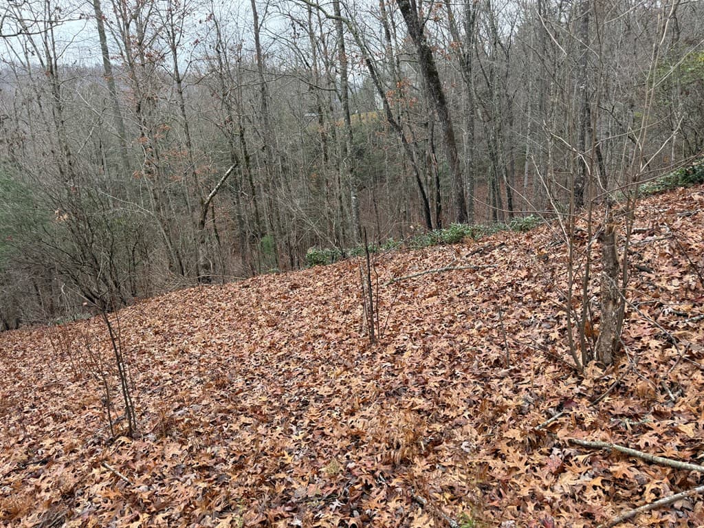 Land at 0 Flaming Ridge, Hayesville, NC 28904, Hayesville, photo 5 of 7