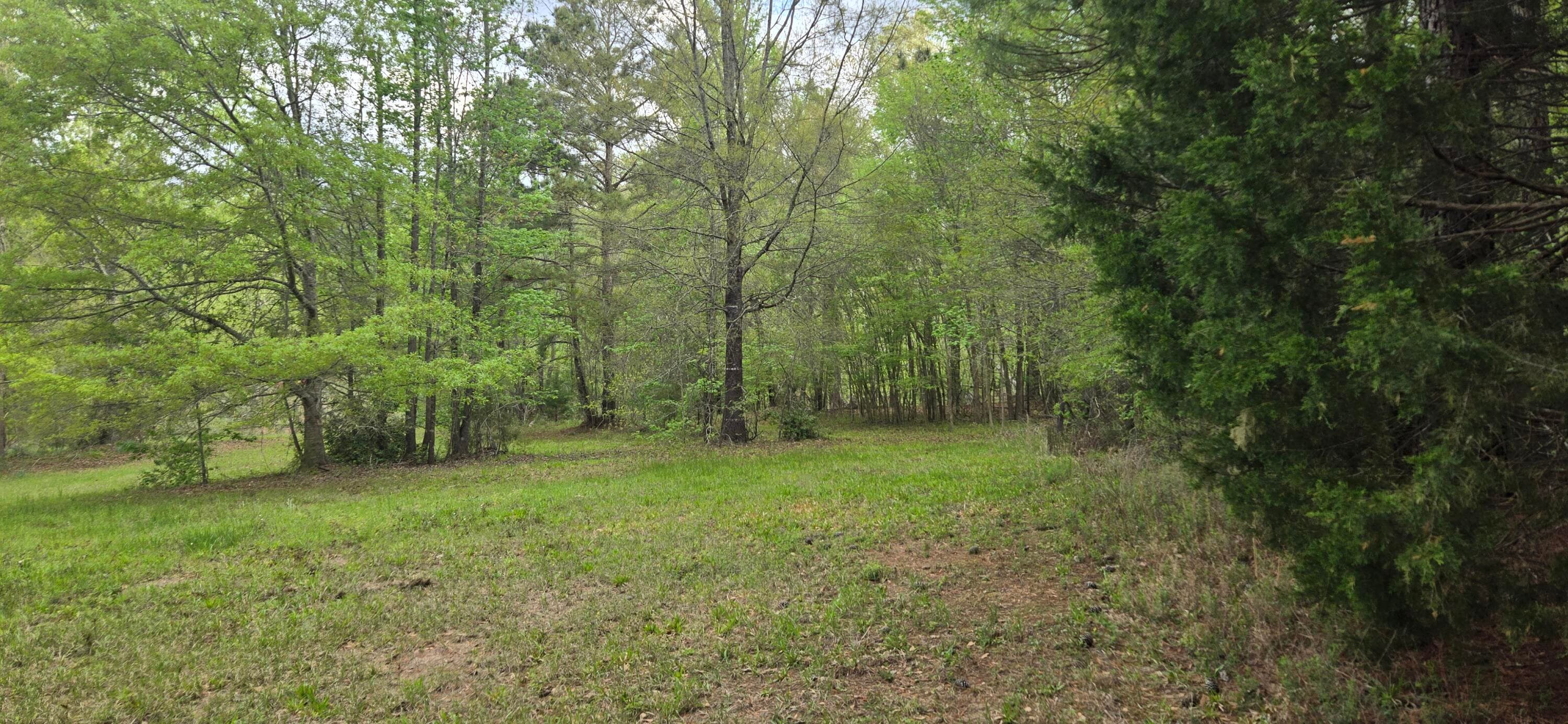 Undeveloped at 0 Mcgahee Road, Evans, GA 30809, photo 6 of 7