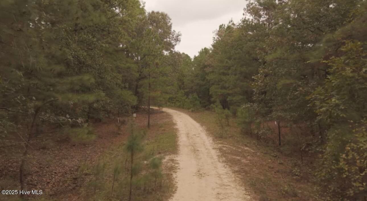 Residential Land at Tbd Brandon Circle, Laurinburg, NC 28352, photo 2 of 14
