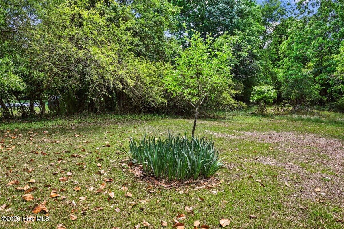 Single Family Residence at 2213 Hunter Hill Road, Rocky Mount, NC 27804, photo 9 of 11