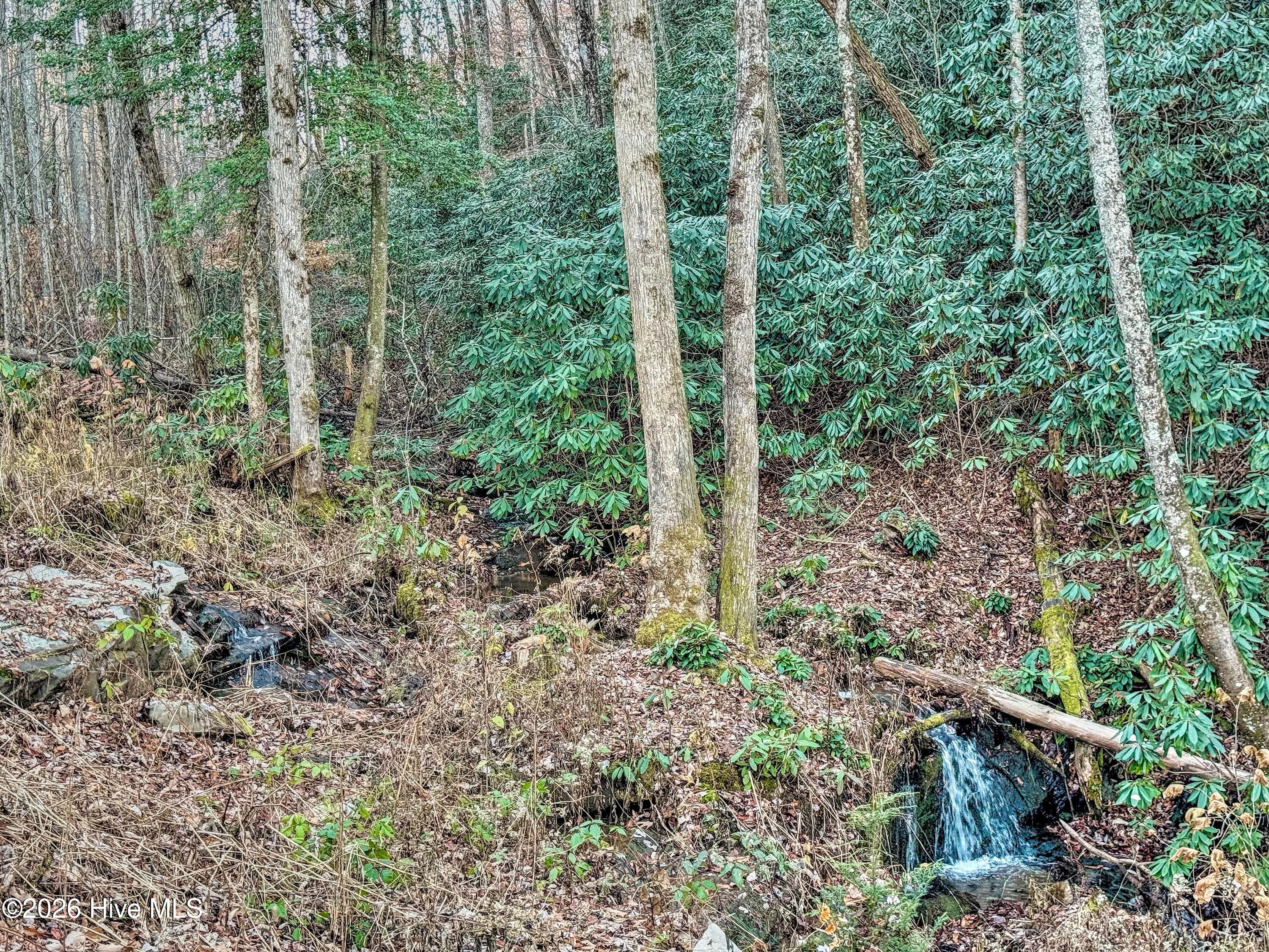 waterfall below the house - 168 Laramie Heights, Andrews, NC 28901