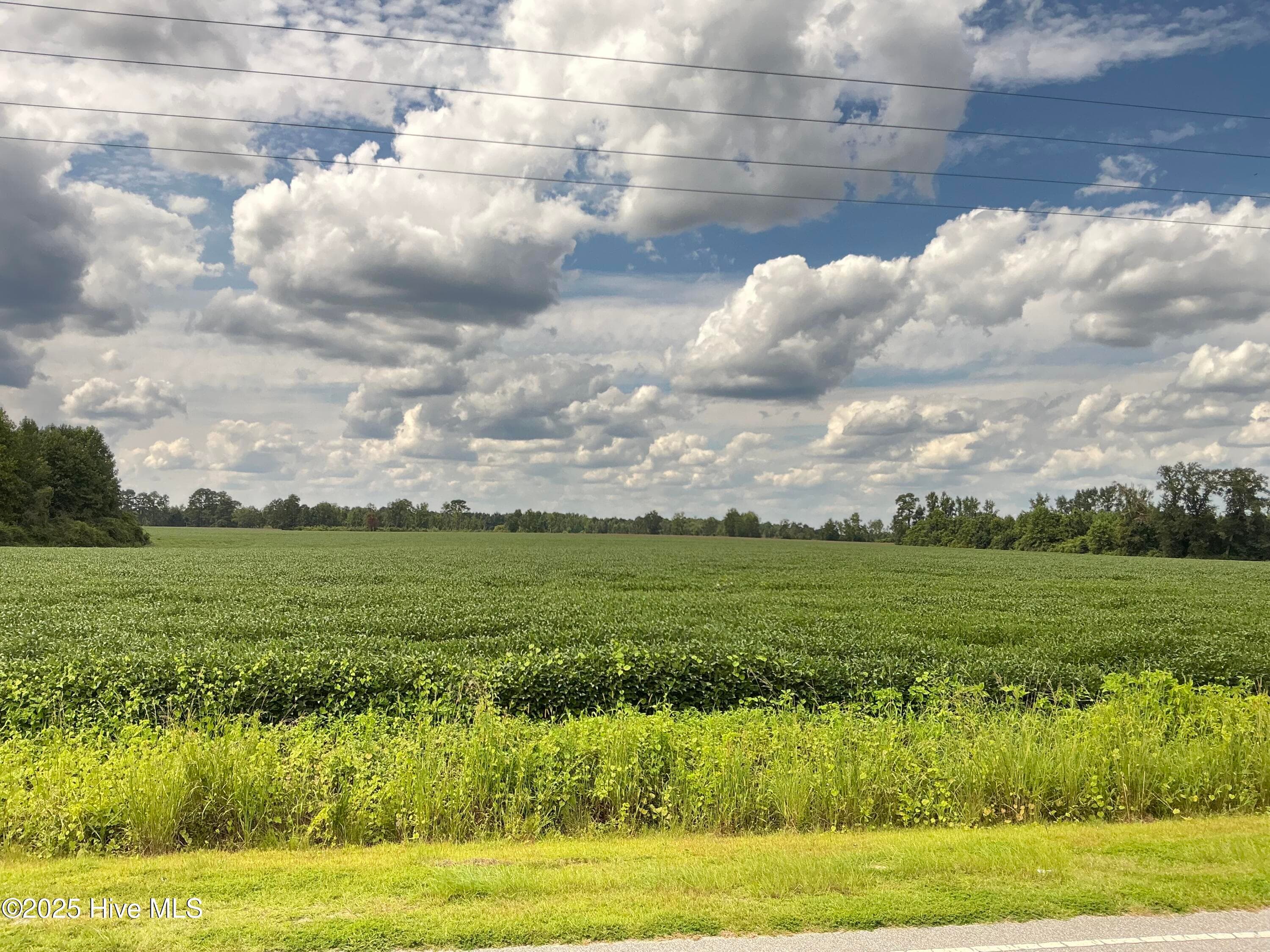 Farm at 2100 Golf Course Road, Whiteville, NC 28472, photo 7 of 10