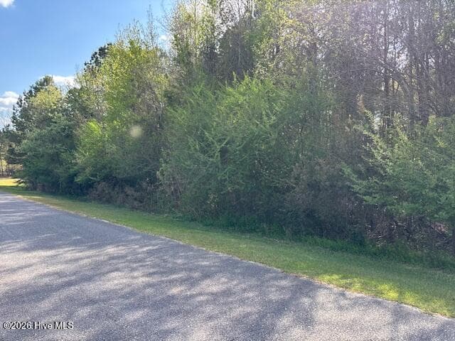 Residential Land at 0 11, 12, 15 Country Club Drive, Wallace, NC 28466, photo 2 of 2