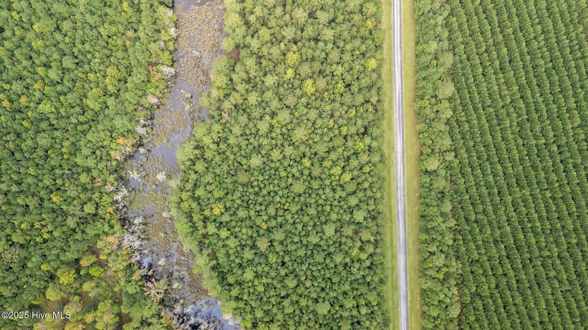 Residential Lot at 207 Garbacon Drive, Beaufort, NC 28516, photo 9 of 17
