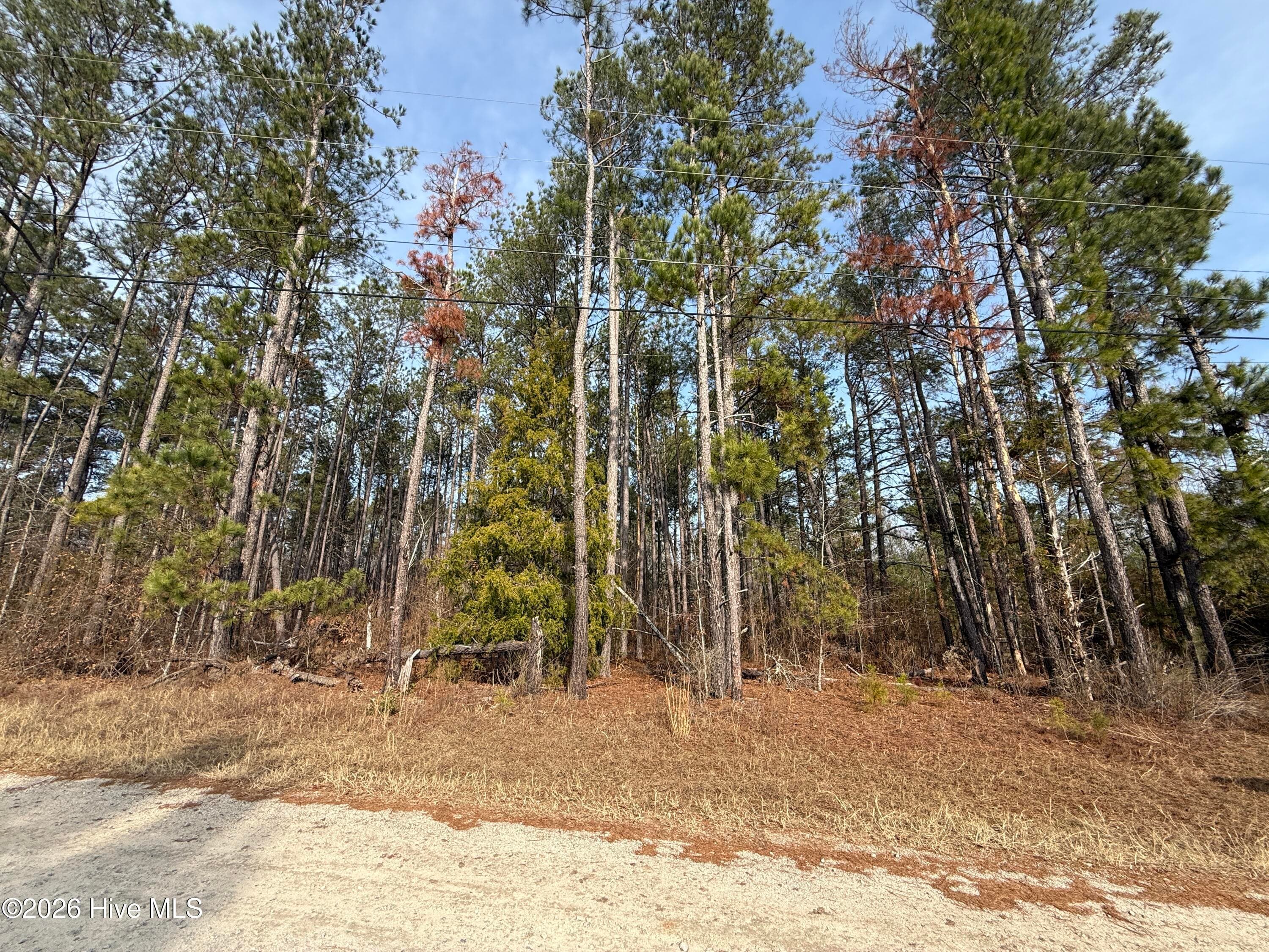 Residential Lot at 165 Wayne Lane, Hephzibah, GA 30815, photo 4 of 12