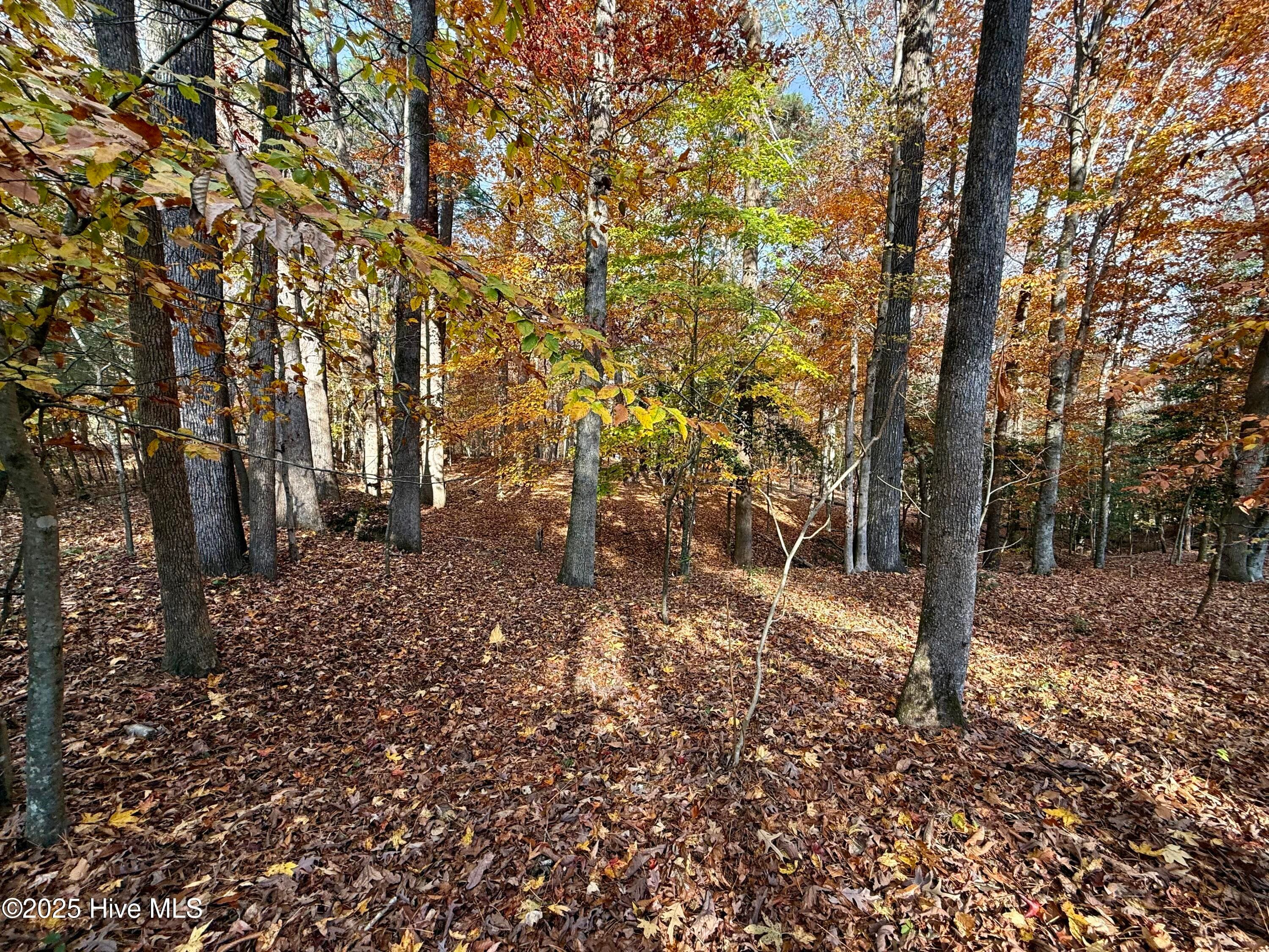 Wooded at 0 Williams Road, Williamston, NC 27892, photo 10 of 16