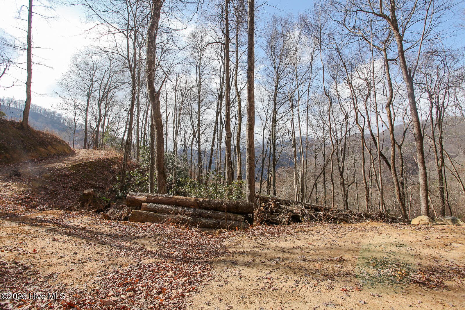 Undeveloped at Lot 20 Walnut Cove Branch, Robbinsville, NC 28771, photo 18 of 31