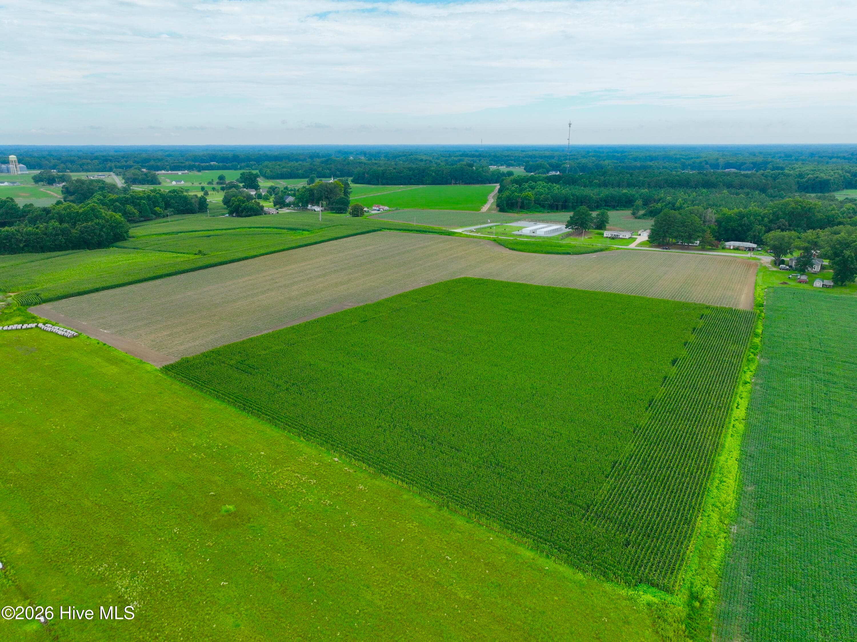 Farm at 478 Davis Mill Road, Fremont, NC 27830, photo 11 of 21
