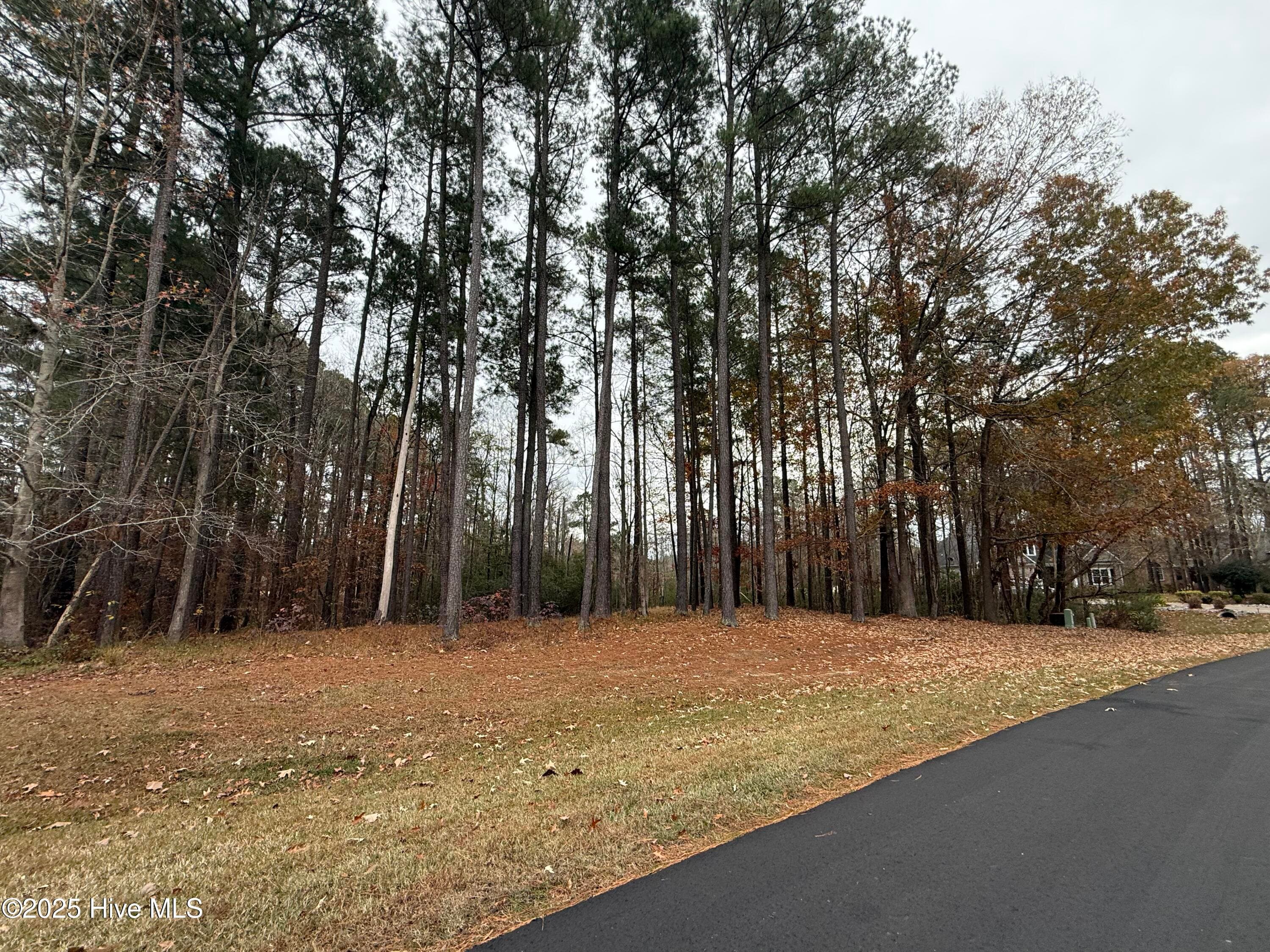 Residential Lot at 14 Greenwood Drive, Hertford, NC 27944, photo 2 of 23