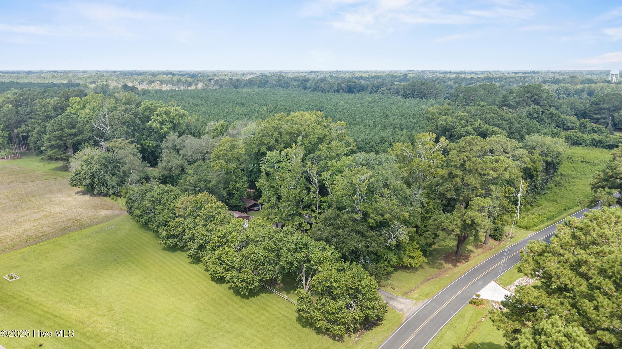 Wooded at Tba Bill Hooks Road, Whiteville, NC 28472, photo 4 of 11