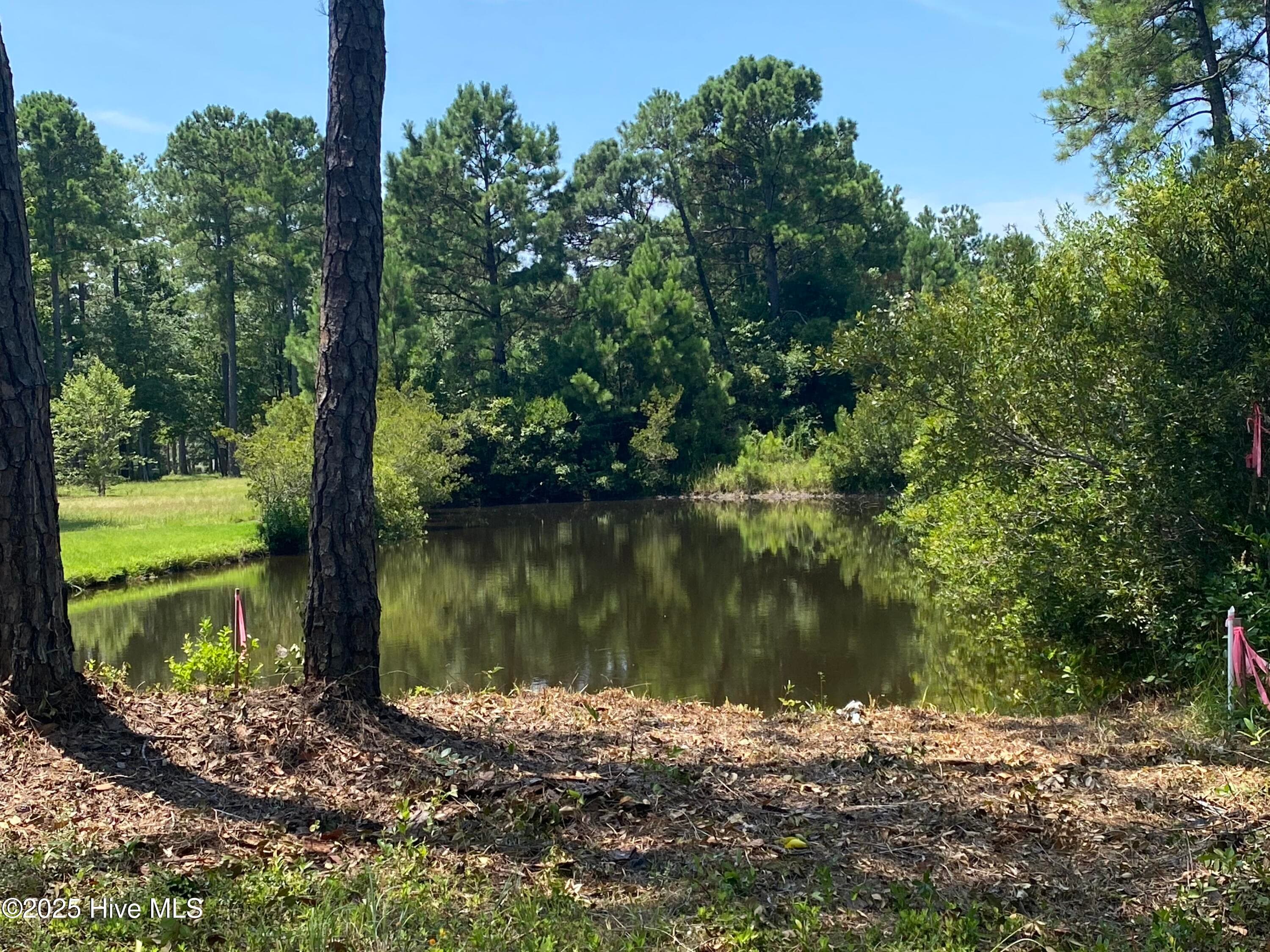 Residential Lot at 6649 65 Summerhill Glen SW, Ocean Isle Beach, NC 28469, photo 5 of 21