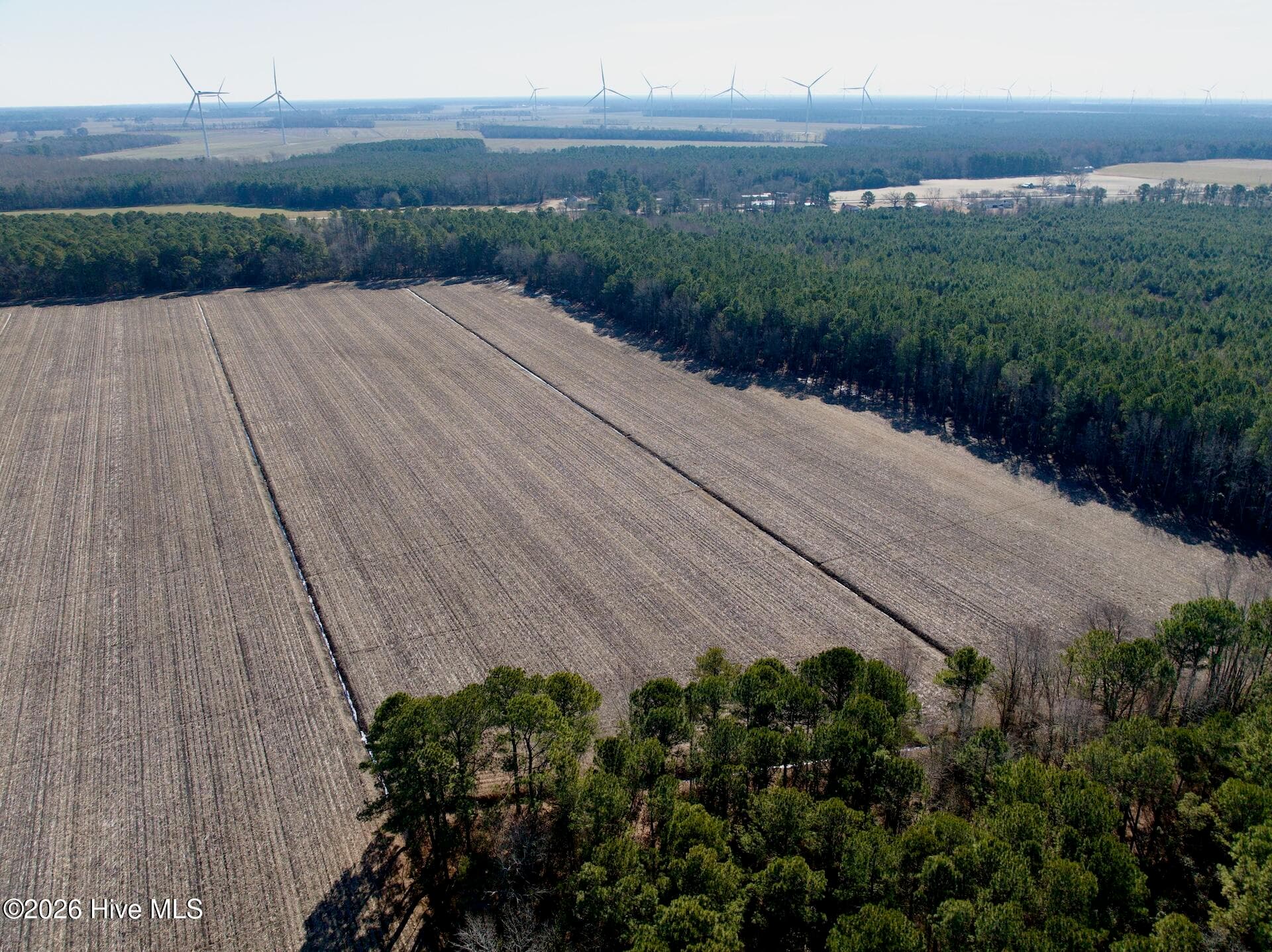 Farm at 0 Sandy Ridge Road, Tyner, NC 27980, photo 5 of 5