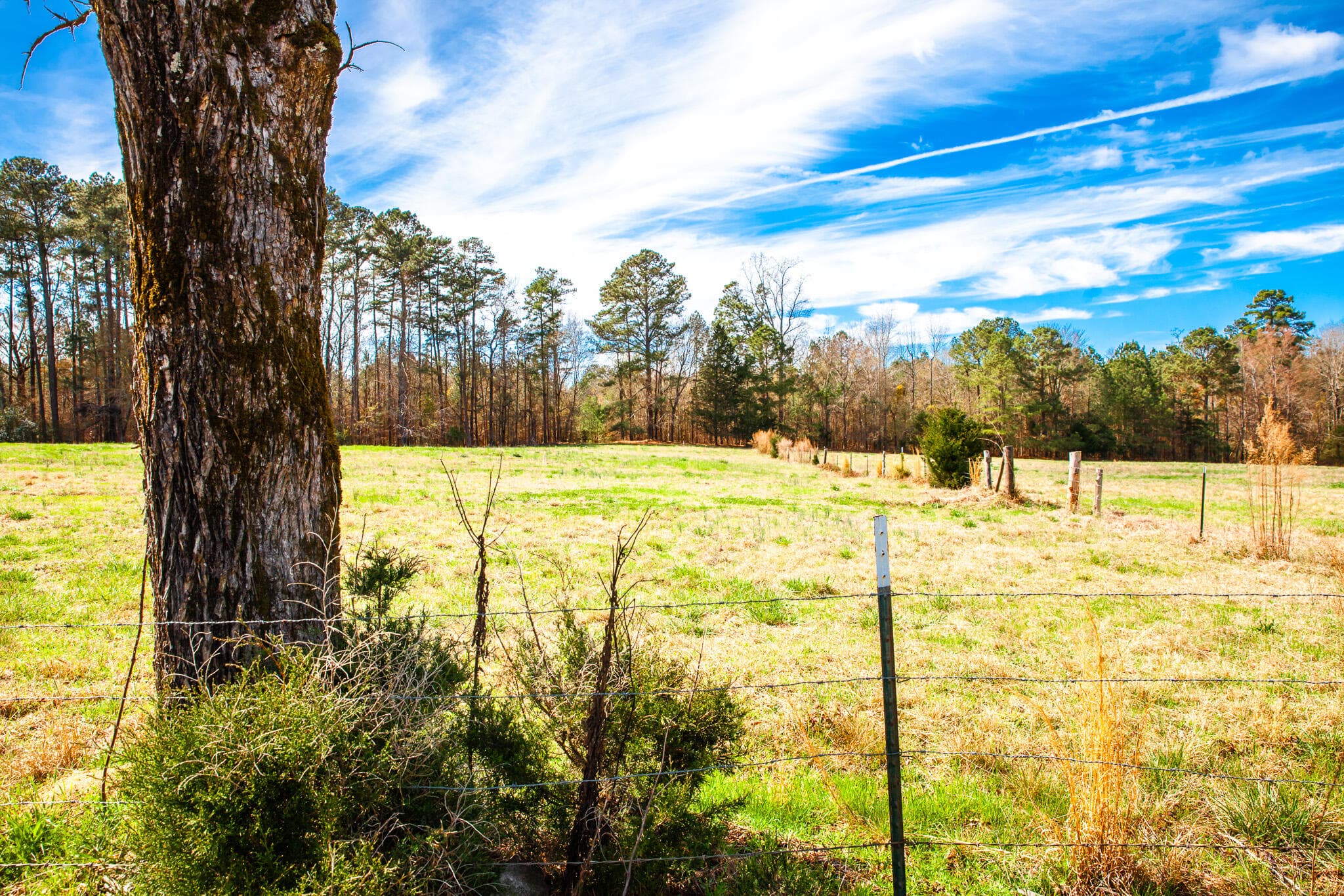 3500 5 Mistletoe Road, Appling, GA 30802