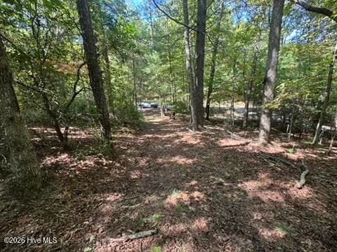 Residential Lot at Lot 1 1 Laurelwood Circle, Murphy, NC 28906, photo 7 of 24