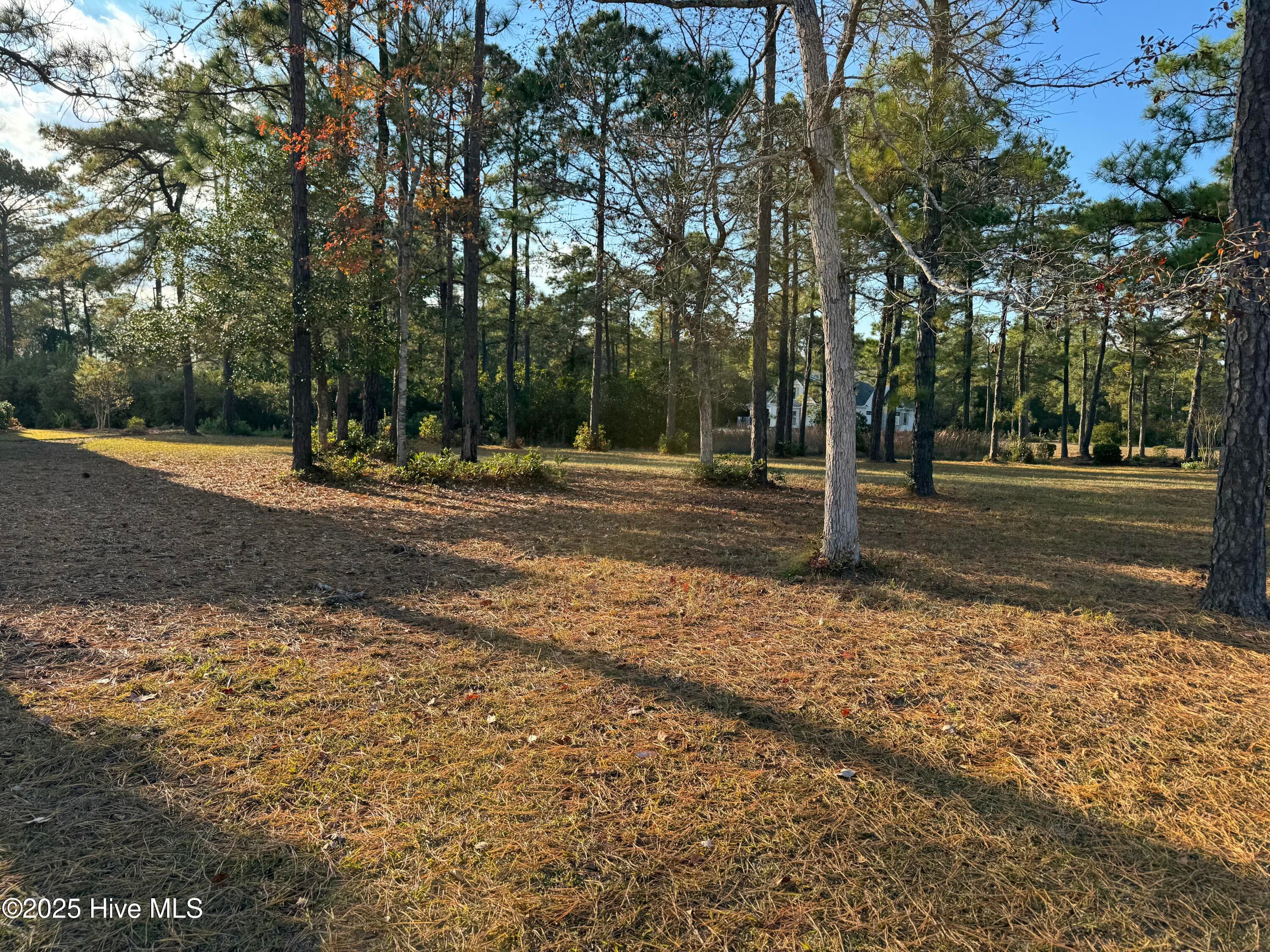 Residential Lot at 6649 65 Summerhill Glen SW, Ocean Isle Beach, NC 28469, photo 7 of 21