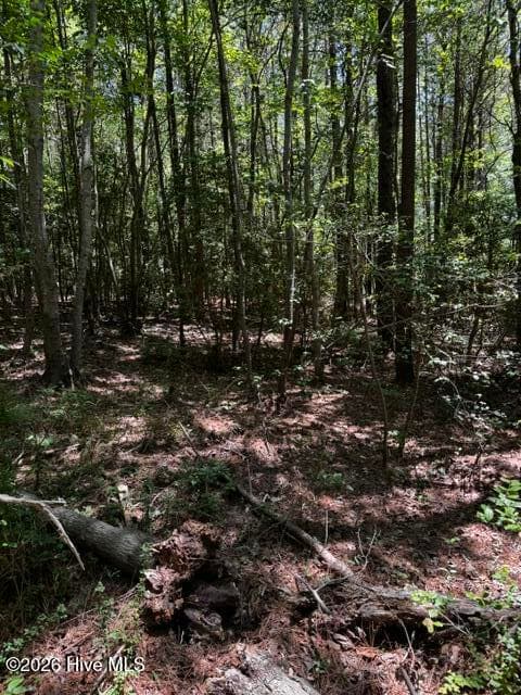 Undeveloped at Lot 1 Dan Road, Robbins, NC 27325, photo 12 of 22