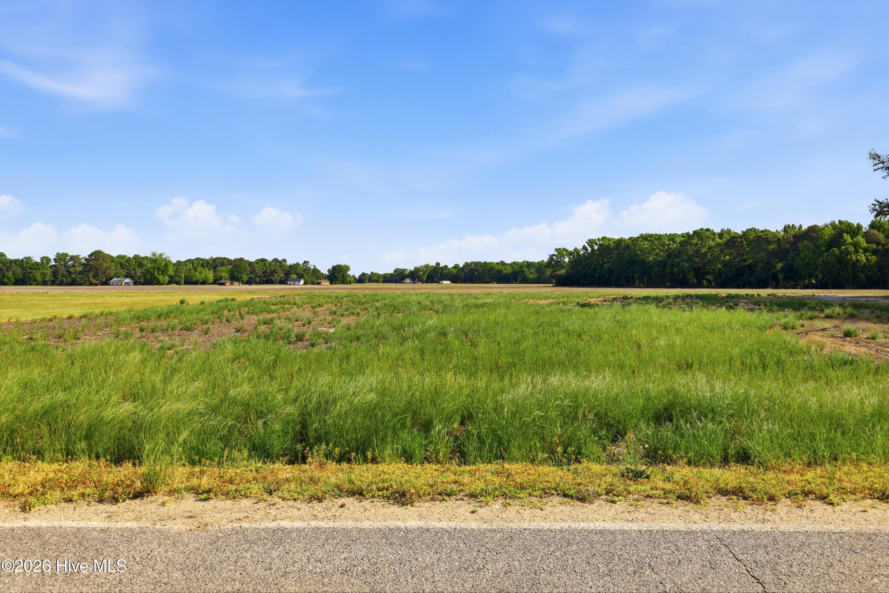 Residential Lot at 1152 Waller Road, Mount Olive, NC 28365, photo 2 of 7