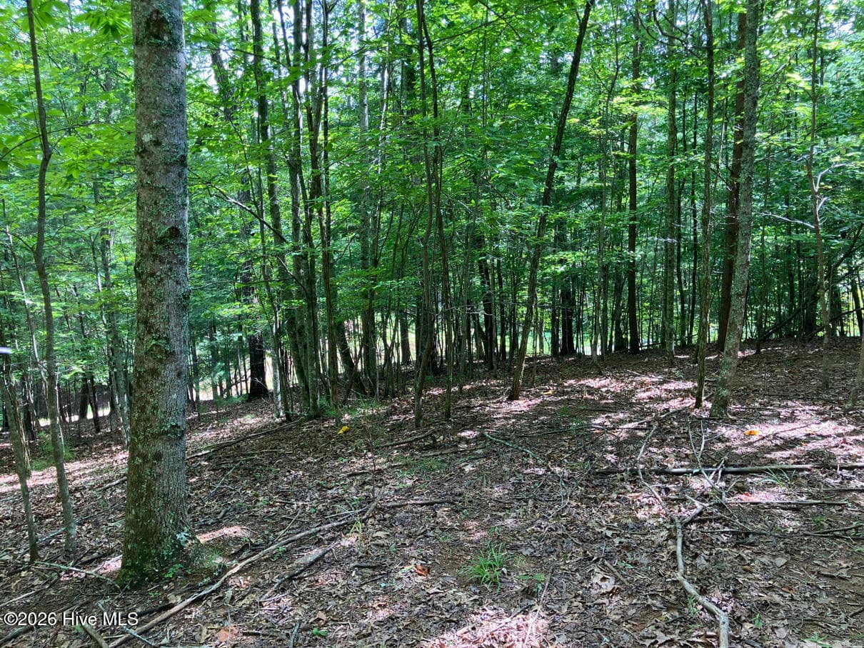 Undeveloped at 11 11 Green Cove Circle, Murphy, NC 28906, photo 6 of 8
