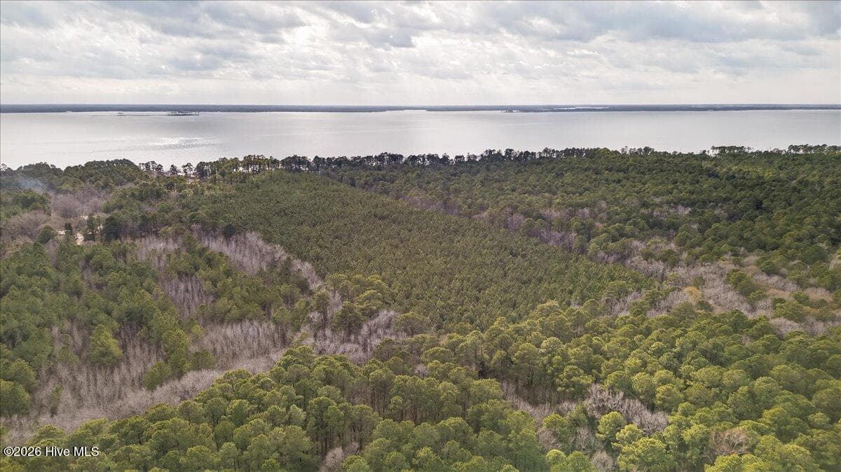 Wooded at 2162 Old Pamlico Beach Road W, Belhaven, NC 27810, photo 22 of 25