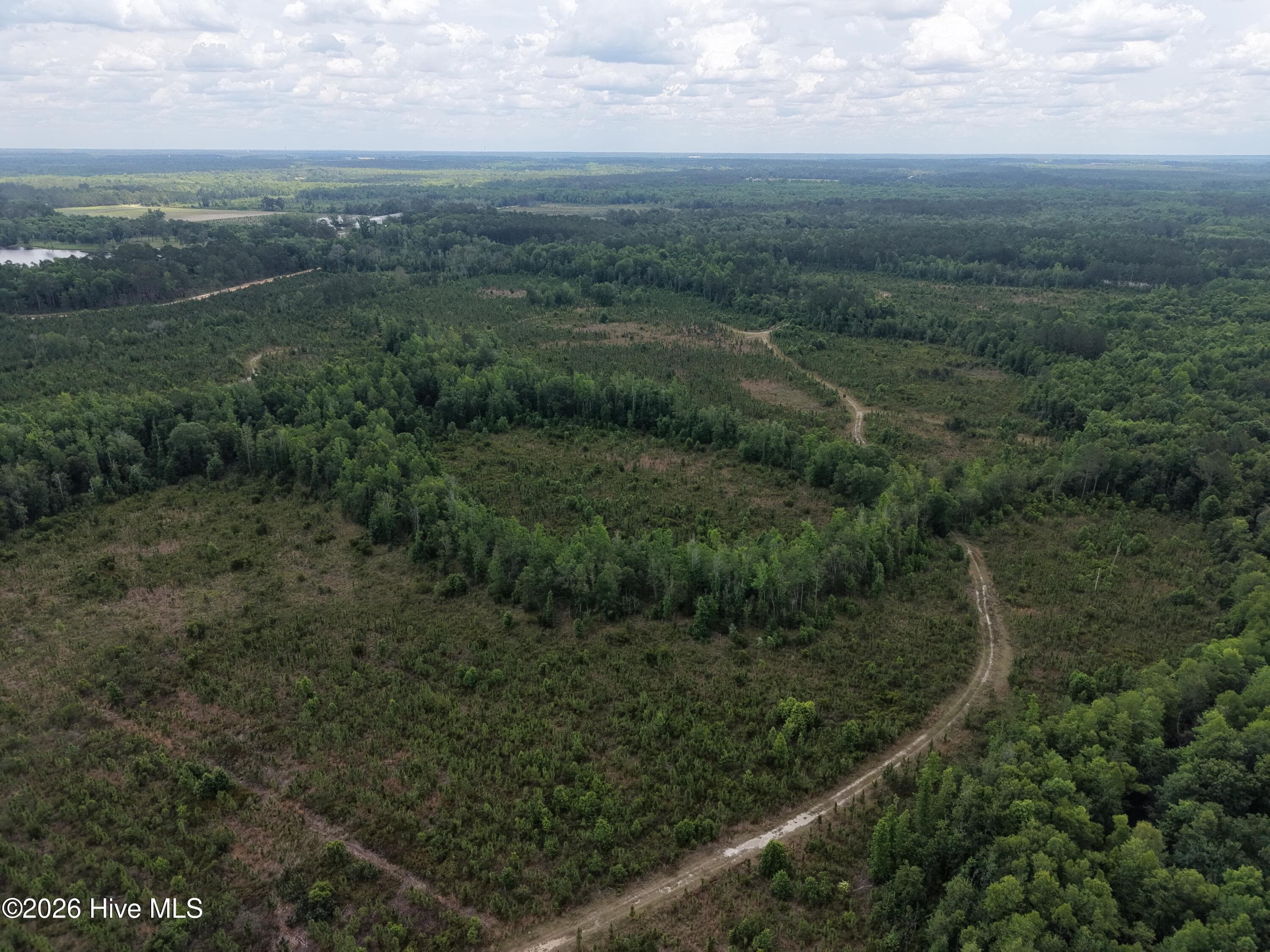 Agriculture at 0 S Hwy 129, Metter, GA 30439, photo 12 of 16