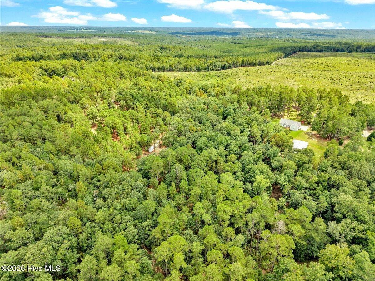 Wooded at 4359 Storm Branch Road, Aiken, SC 29803, photo 37 of 57