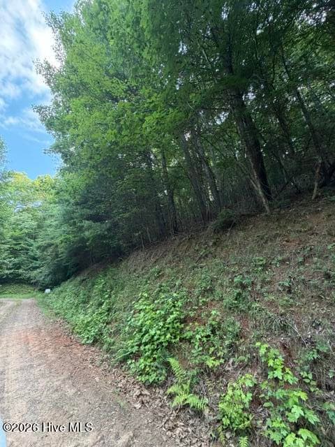 Undeveloped at Lot 59 Quiet Mountain Trail, Murphy, NC 28906, photo 7 of 10