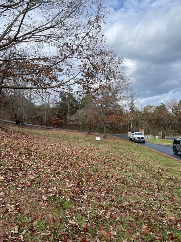 Land at na Skipper Lane, Hiawassee, GA 30546, photo 7 of 9