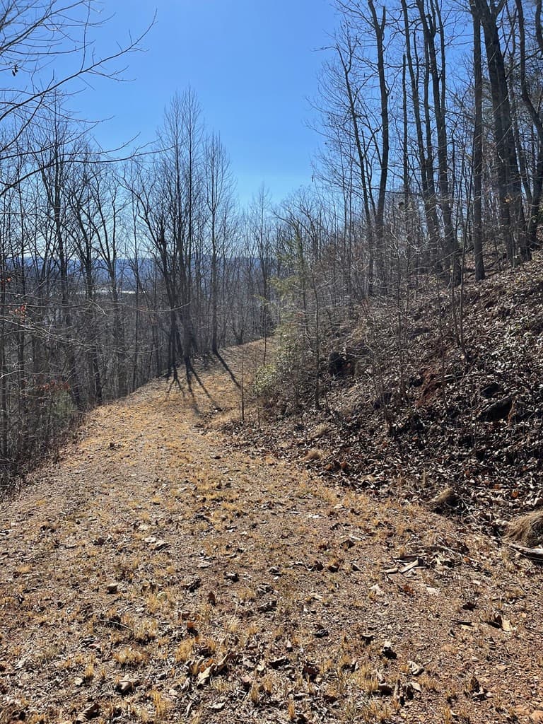 Residential Lot at Lot #45j Knollwood, Hayesville, NC 28904, photo 3 of 4