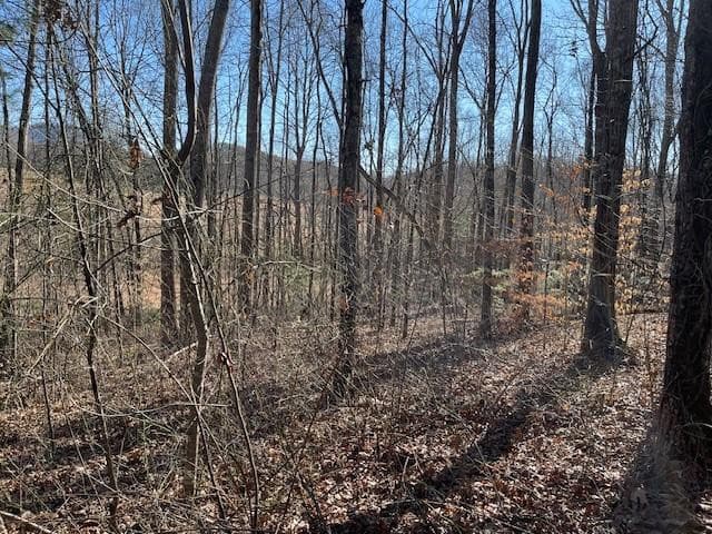 Lot 2e 2E The Woodlands, Hayesville, NC 28904