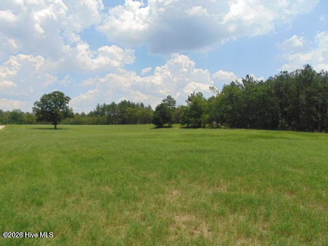 Manufactured Home at 490 Springhill Church Road, Hamlet, NC 28345, photo 48 of 94