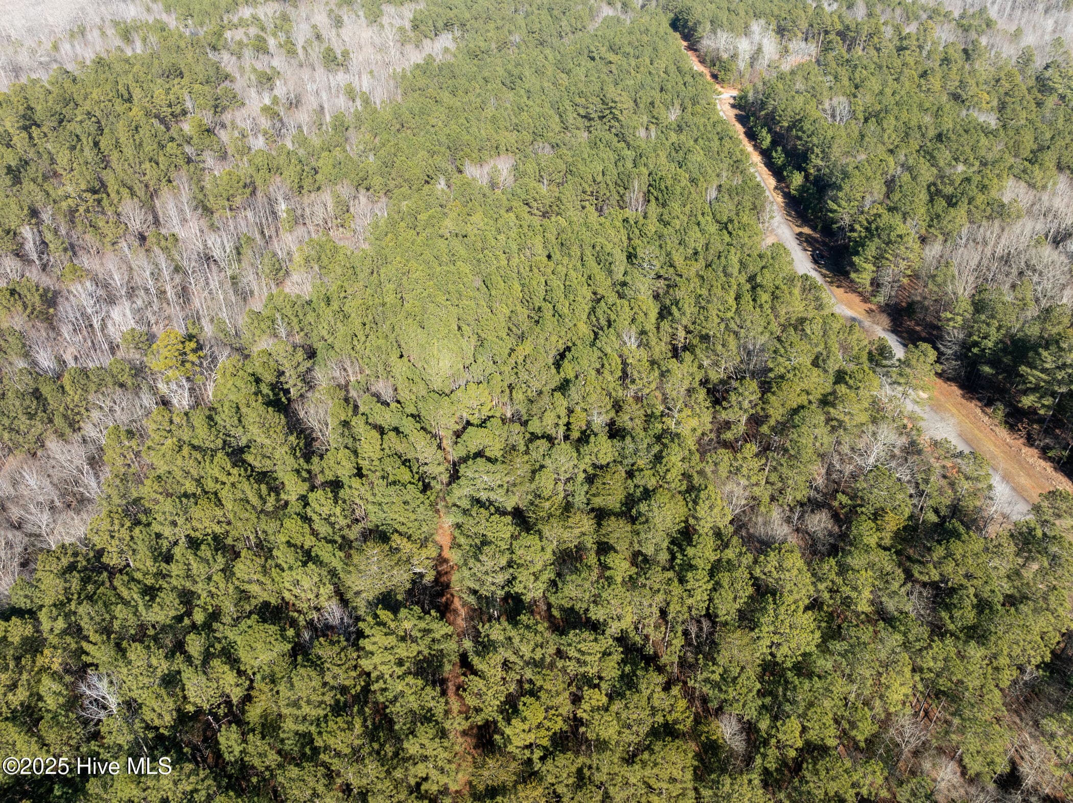 Residential Lot at 141 N State Lane, Rockingham, NC 28379, photo 8 of 17