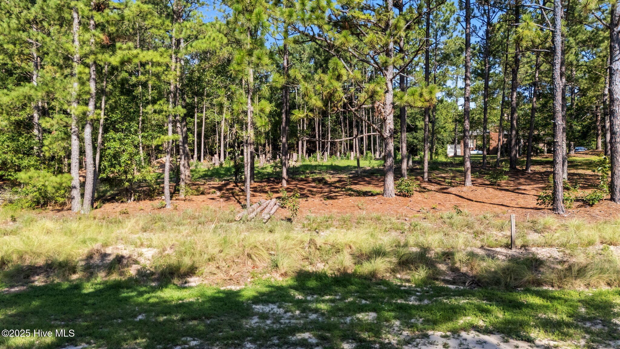 180 Richmond Street, West End, NC 27376