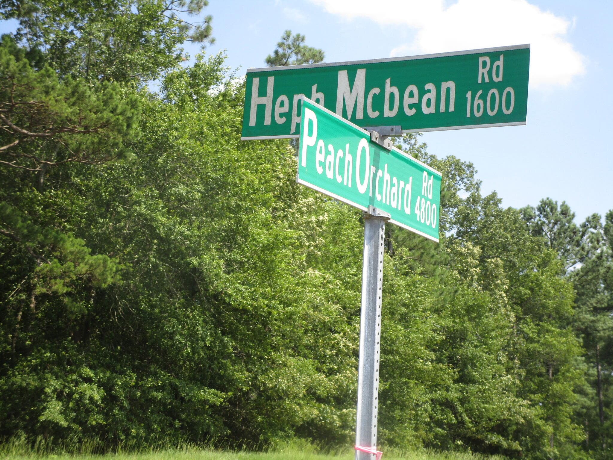 STREET SIGN - 1436 Hephzibah Mcbean Road, Hephzibah, GA 30815