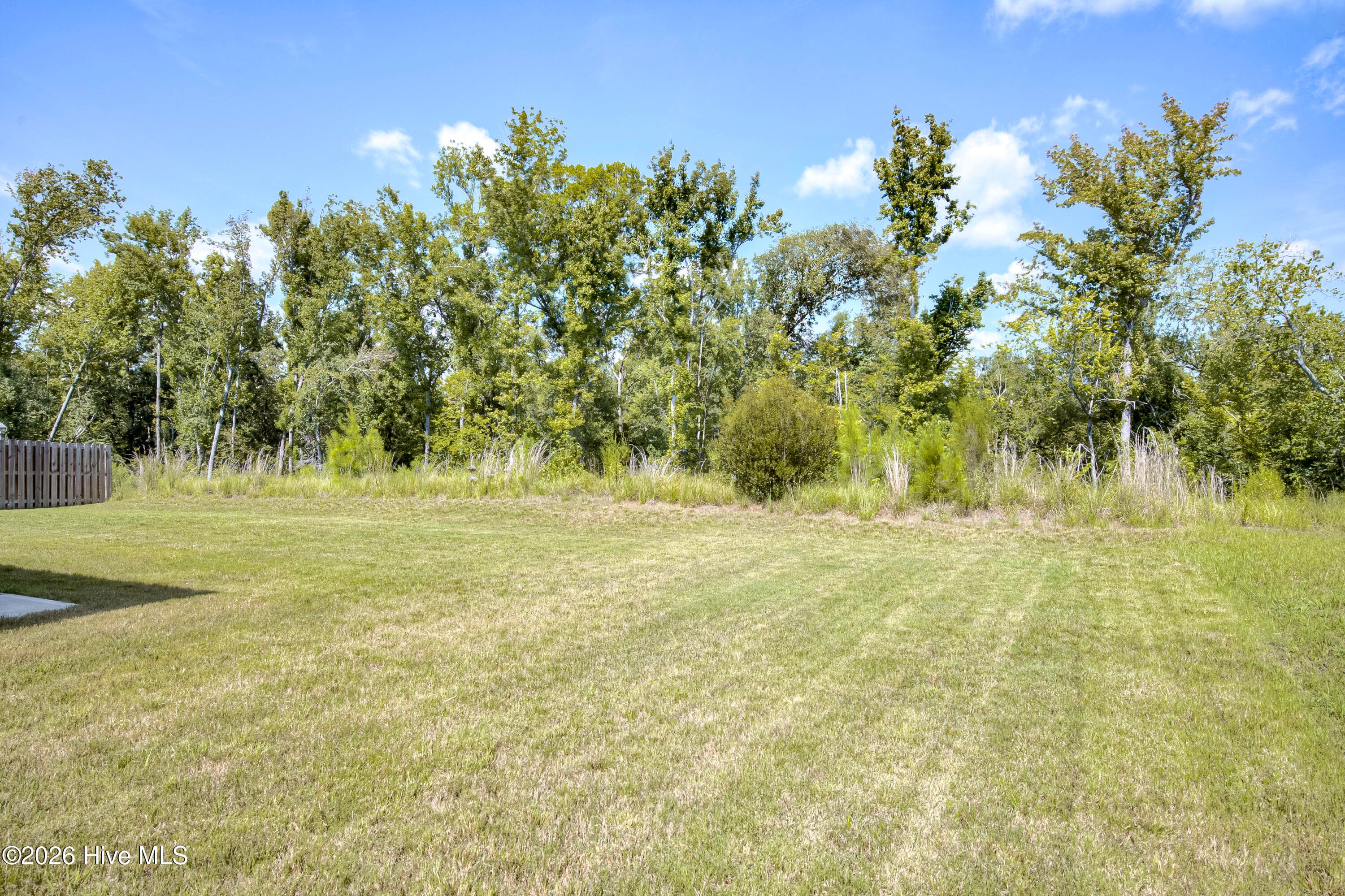 Backyard privacy- backs up to wooded area. - 1136 Button Buck Lane, Grovetown, GA 30813