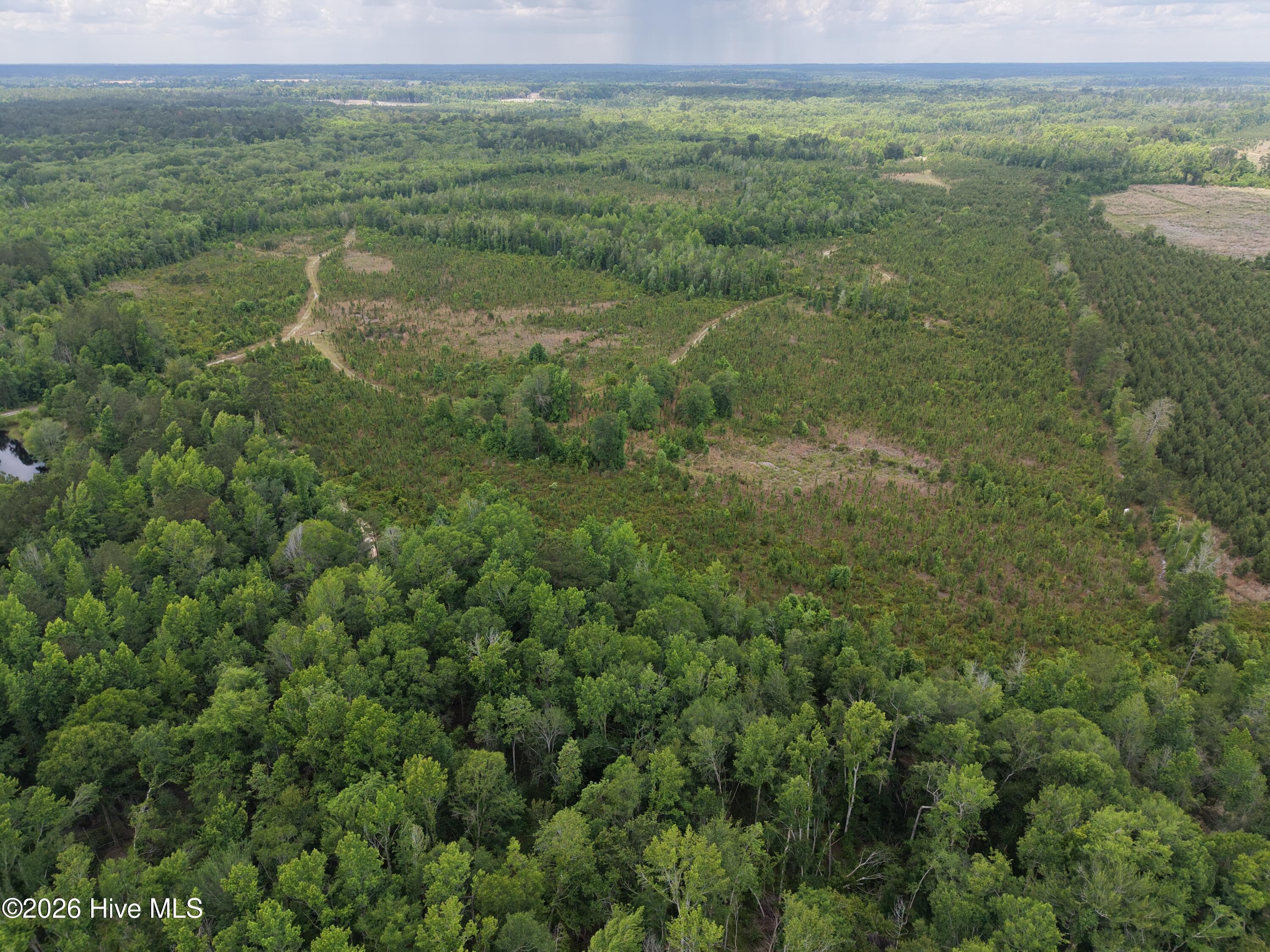 Agriculture at 0 S Hwy 129, Metter, GA 30439, photo 2 of 16