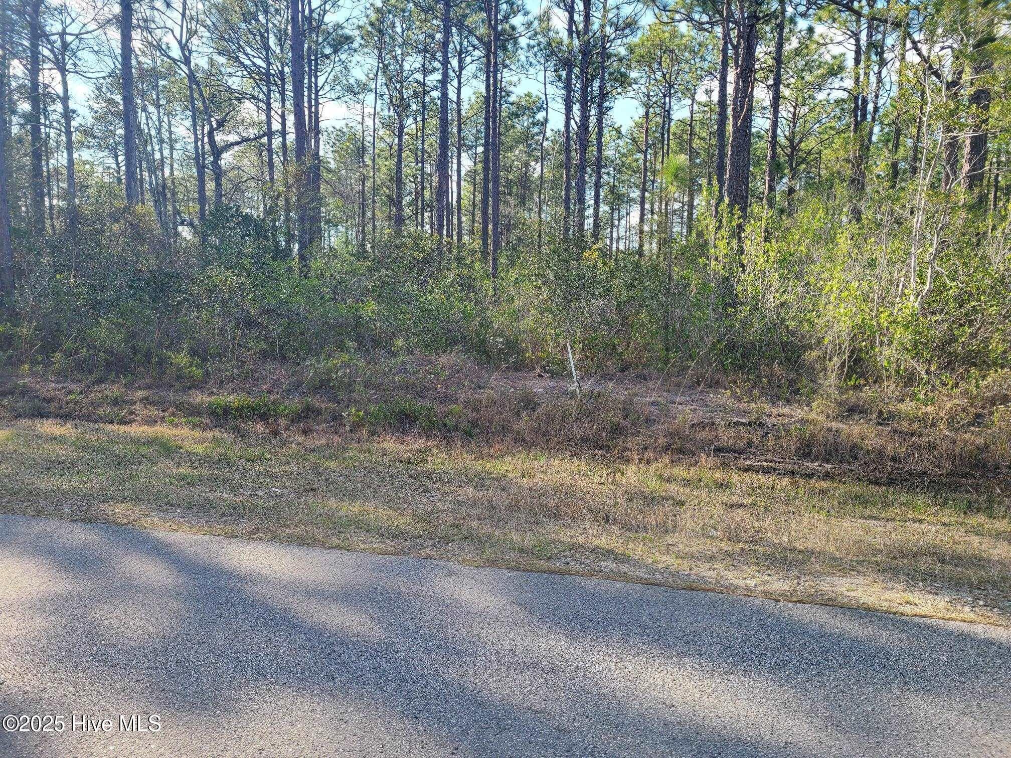 Lot 208 208 Pepperhill Road, Boiling Spring Lakes, NC 28461