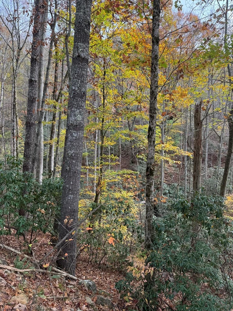 Residential Lot at 00 92 Heritage Trail, Murphy, NC 28906, photo 5 of 8