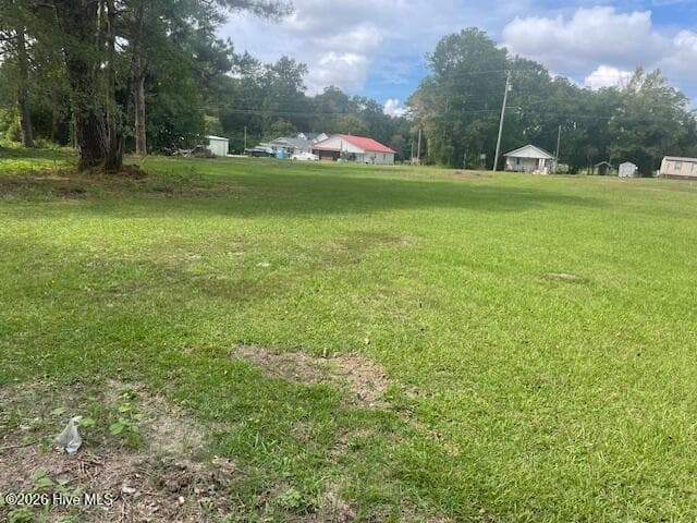 Commercial Sale at 325 N Main Street, Bladenboro, NC 28320, photo 3 of 6