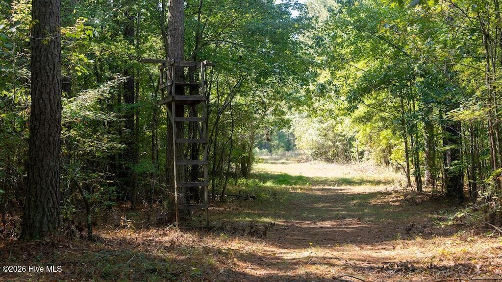 Mixed Use at 0 Spring Hill Road, Scotland Neck, NC 27874, photo 14 of 93