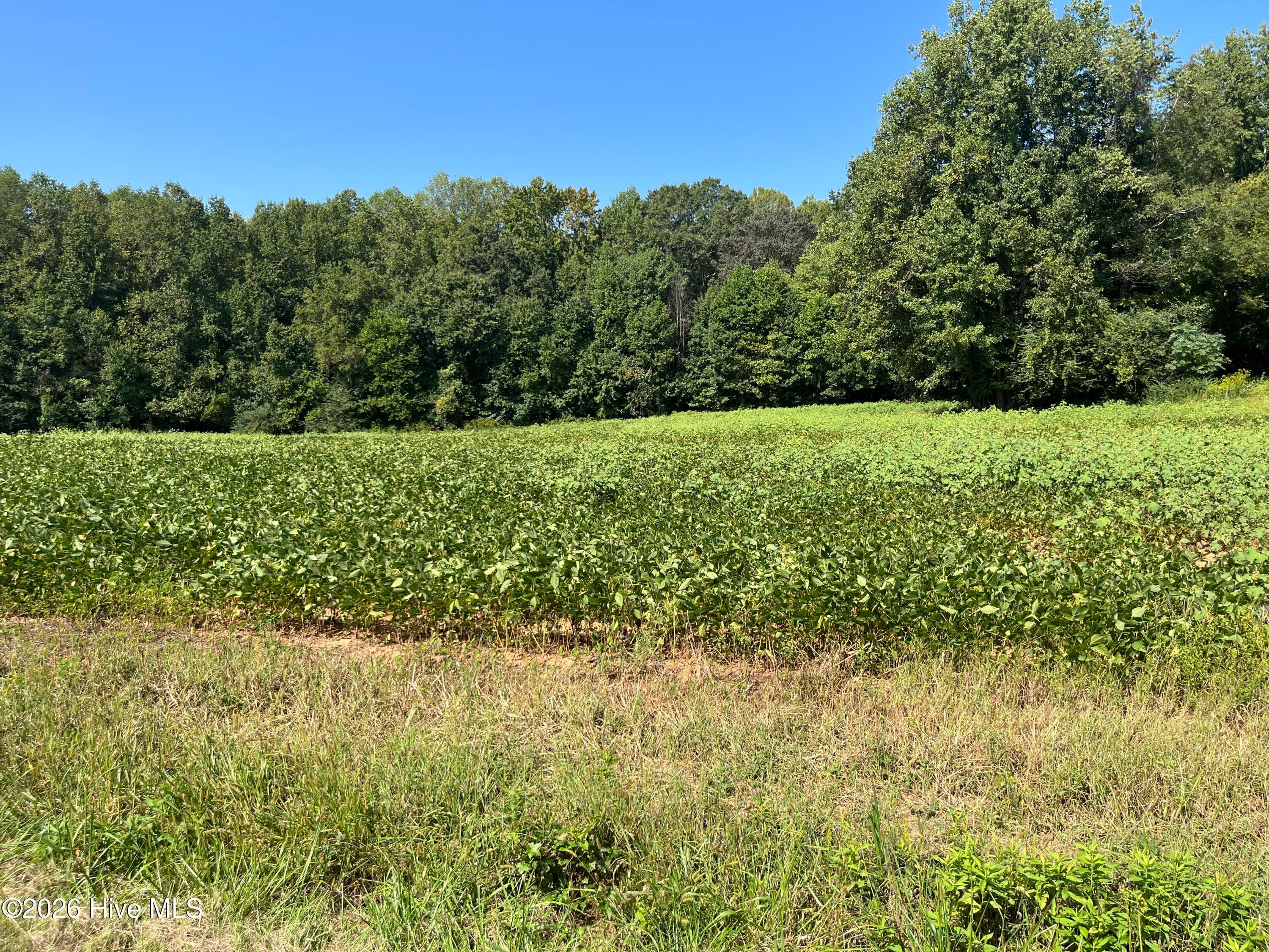 Undeveloped at 9011 Pleasant Grove Church Road, Spring Hope, NC 27882, photo 11 of 11
