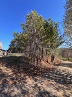 Undeveloped at 9-11 Sugar Maple Road, Murphy, NC 28906, photo 6 of 7