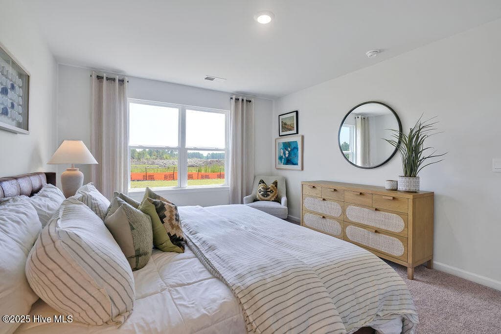 The photos you see here are for illustration purposes only, interior and exterior features, options, colors and selections will vary from the homes as built. - 1110 Pampas Grass Drive Lot 340, Castle Hayne, NC 28429
