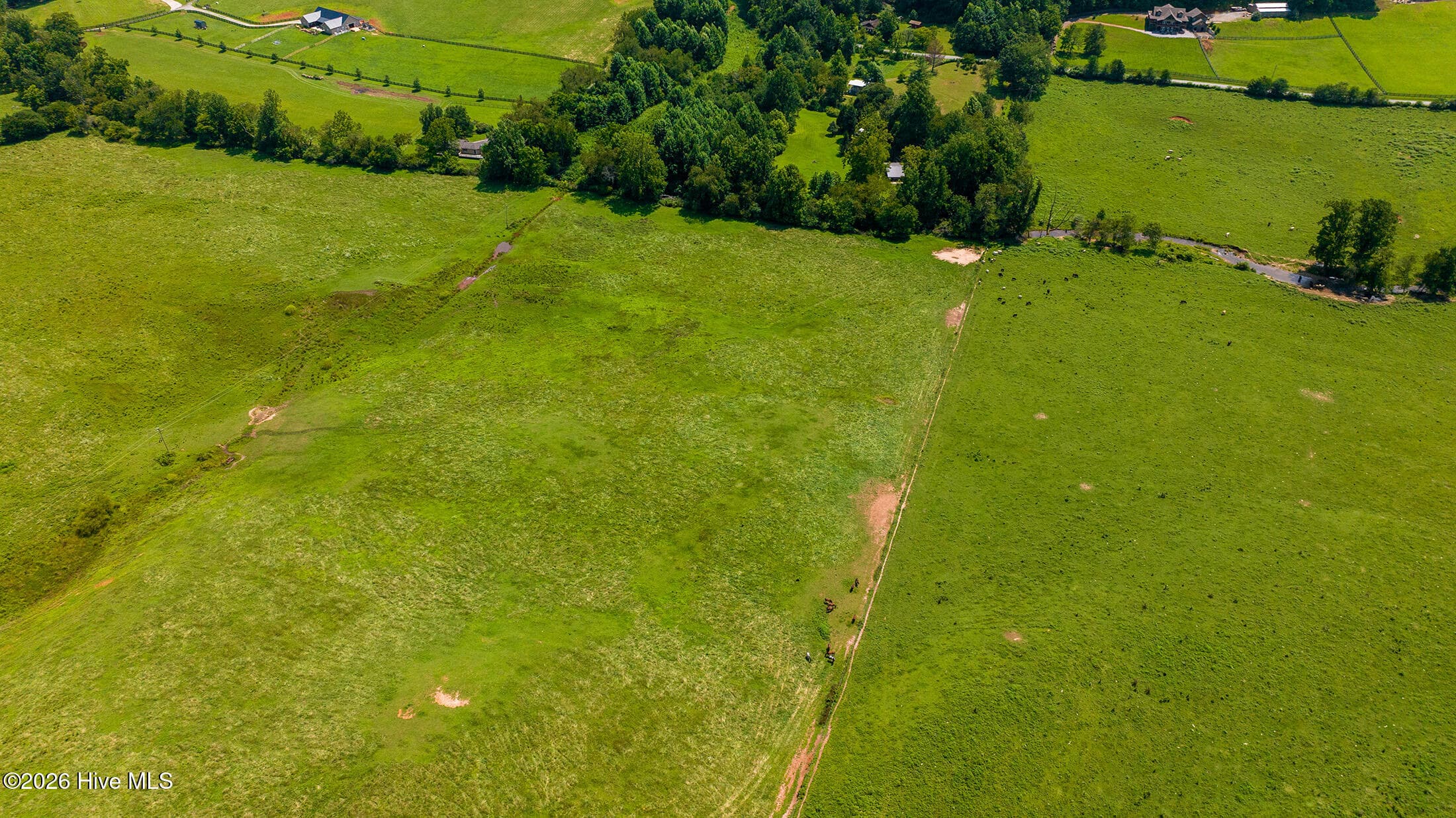 Agriculture at 51.20 Ac Bethabara Road, Hayesville, NC 28904, photo 8 of 17